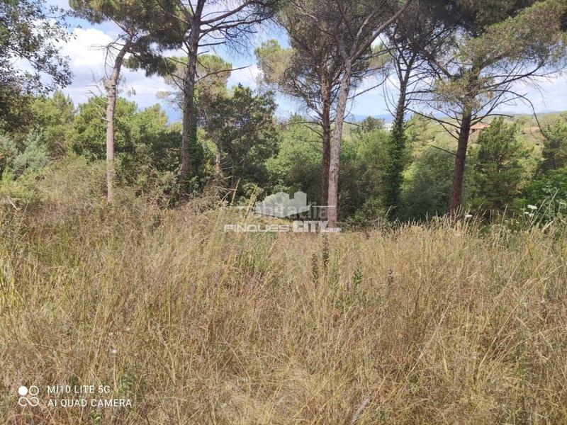 Foto 28d5e967-d959-4956-b092-e080d4090d3c. Wohngrundstück in Mas Mora-Sant Daniel Tordera