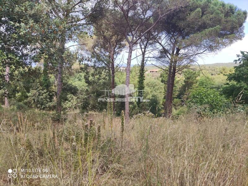 Foto 42058f95-dd06-4359-b271-583f102e15c6. Wohngrundstück in Mas Mora-Sant Daniel Tordera