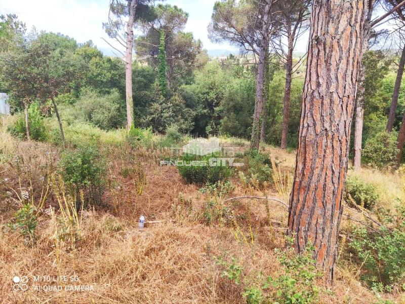 Foto 71f51583-2de3-4a05-b58a-1b18df7643e2. Wohngrundstück in Mas Mora-Sant Daniel Tordera