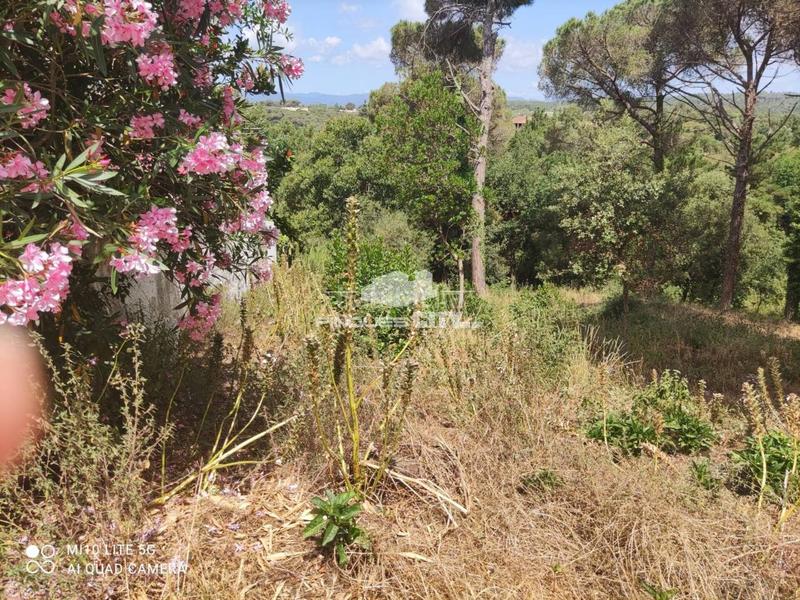 Foto c8e0de58-573a-4130-9ac0-1ae622702a19. Wohngrundstück in Mas Mora-Sant Daniel Tordera