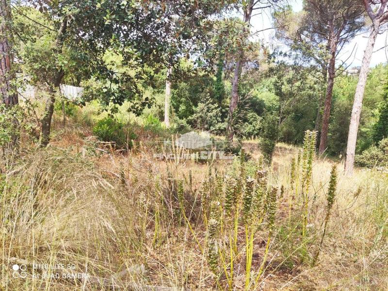 Foto eda4a0ac-e2c1-4863-8d59-c7e42c2af837. Wohngrundstück in Mas Mora-Sant Daniel Tordera