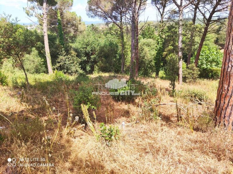 Foto f7b11797-ee6c-4f1c-8213-73d63052042d. Wohngrundstück in Mas Mora-Sant Daniel Tordera
