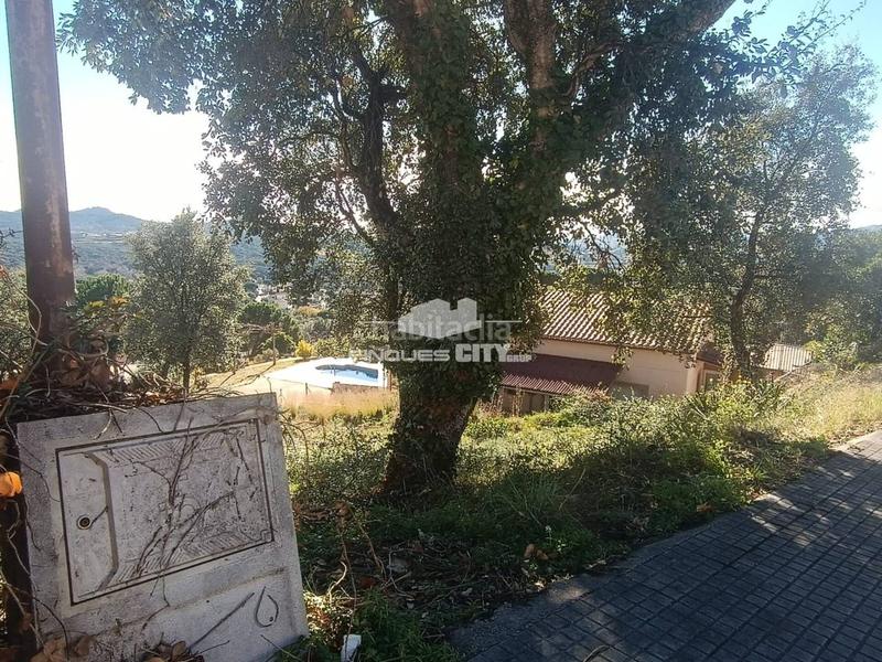 Foto 7ec78cbe-27b8-44ad-8443-ac140d363379. Terreno residencial solar en venta en urbanitzacions el mas mórasant danielblanes mar en Tordera
