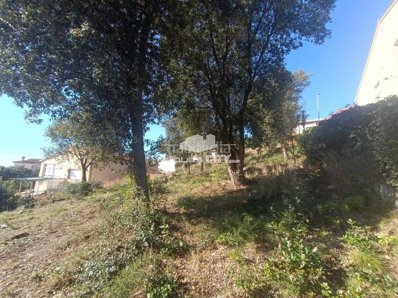 Foto ee57169a-f66a-40de-9d54-0d5c6bead2cd. Terreno residencial solar en venta en urbanitzacions el mas mórasant danielblanes mar en Tordera