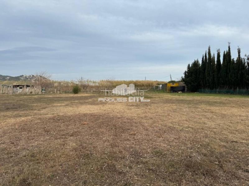 Foto 0d888af4-843c-4fbb-b4a4-ff665525e5ed. Finca rústica a Centre Pineda de Mar