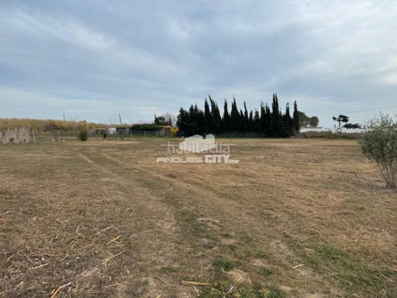 Foto 89e170c1-2855-4c69-a03f-14969d1d3e18. Finca rústica a Centre Pineda de Mar