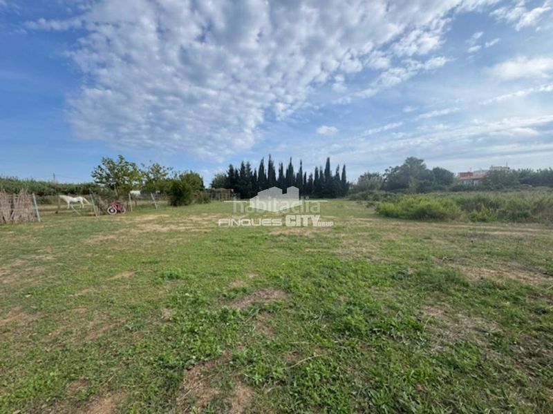 Foto 17f81554-5bc1-4d21-96a5-9f7f2fb21516. Finca rústica a Centre Pineda de Mar