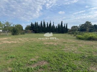 Rural plot  Calle pla de llobet. Terreno agrícola en venta 1.321m2  pineda de mar
