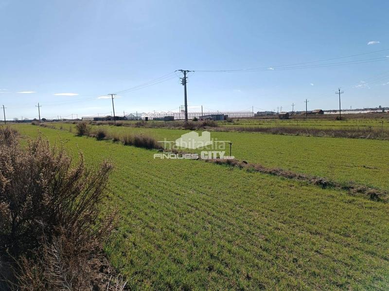 Foto 37dbbdba-a7e5-42b8-8d62-6d4fa2d9e2dc. Fondo rustico in Malgrat de Mar