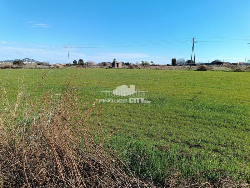 Foto 9134d371-daae-4ade-abb1-d8952fcd2891. Fondo rustico in Malgrat de Mar