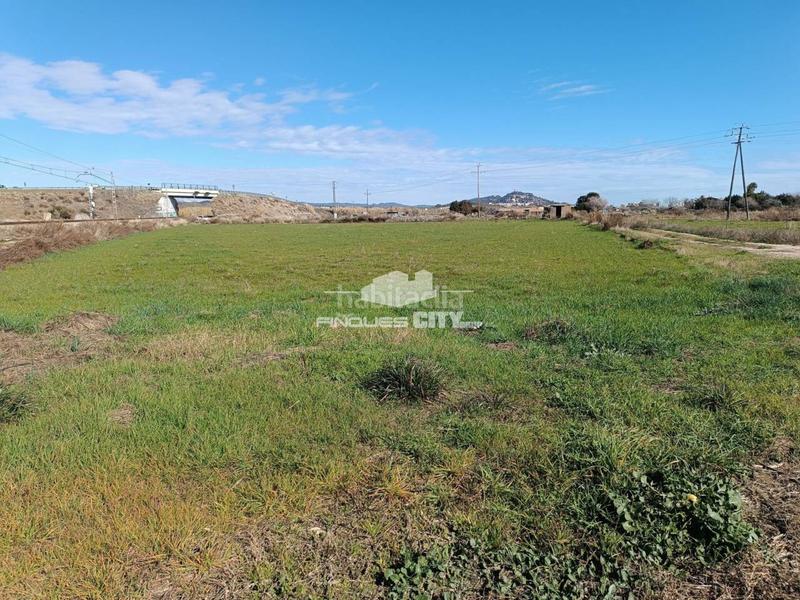 Foto f5bc53f9-b87b-4c2d-be01-1d634bc526d4. Fondo rustico in Malgrat de Mar