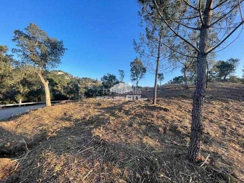 Foto 29be6a88-38e7-4458-8a83-f89d00d699ef. Wohngrundstück in antiga de vidreres 1 in Lloret Blau - La Creu de Lloret Lloret de Mar