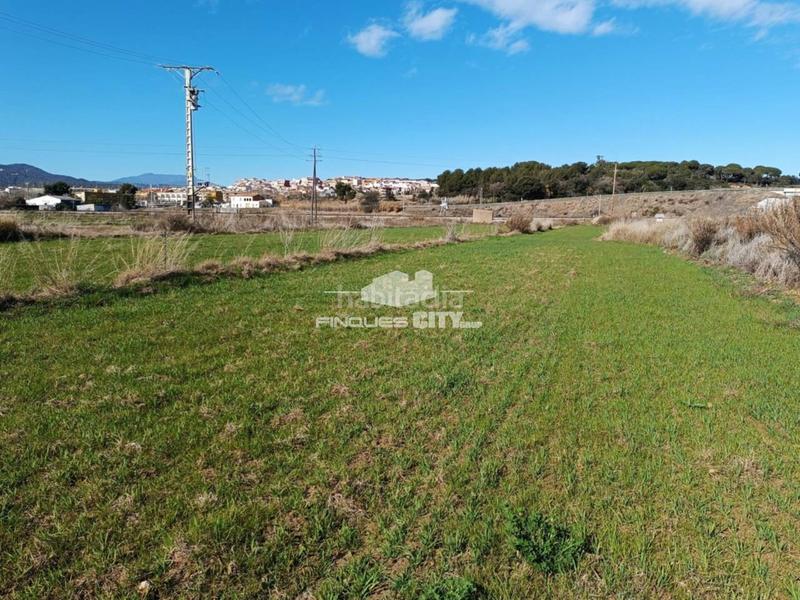 Foto 00389b7c-b61c-4eca-abcd-49ca98dbd600. Rural plot in Malgrat de Mar