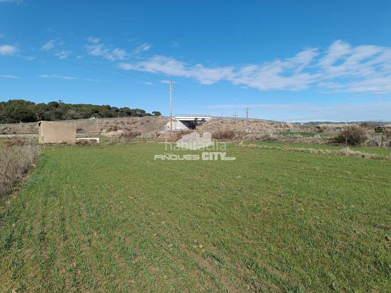 Foto 3fab44b8-3f40-4c00-a902-866ecefde440. Rural plot in Malgrat de Mar