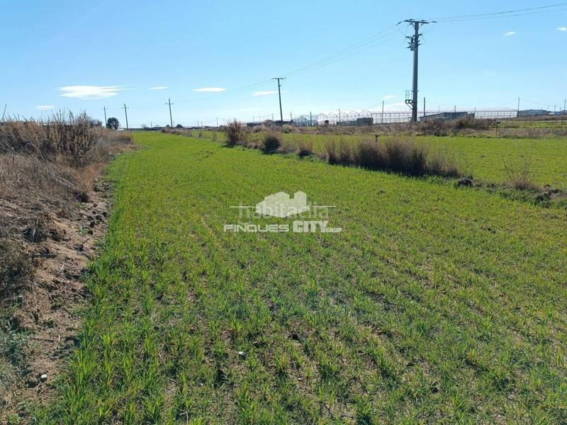 Foto 4ac03449-d3c8-4a00-959c-c55c395dcf08. Rural plot in Malgrat de Mar