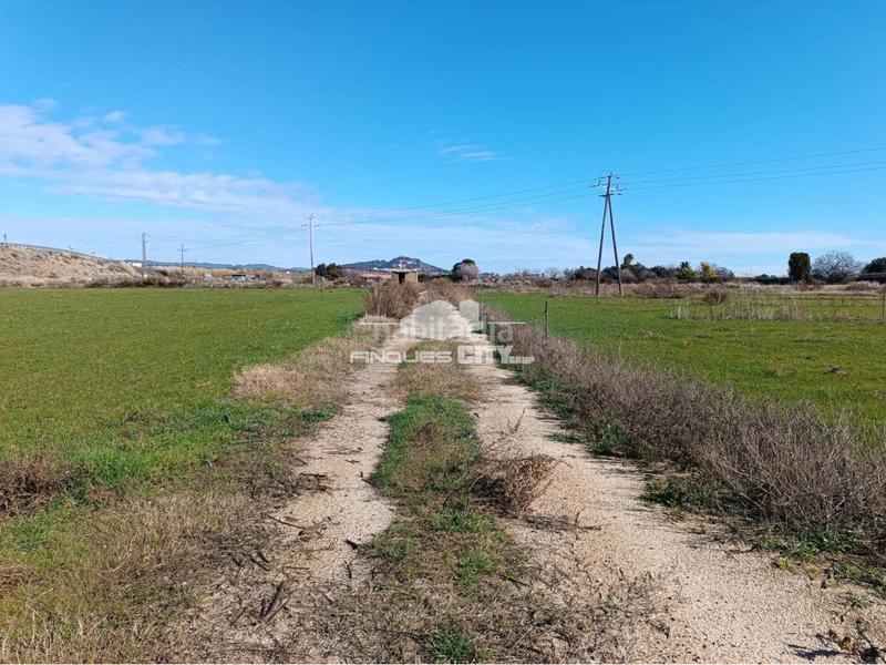 Foto 51bc852d-4bdd-41c3-87ae-05593ee59d4d. Rural plot in Malgrat de Mar