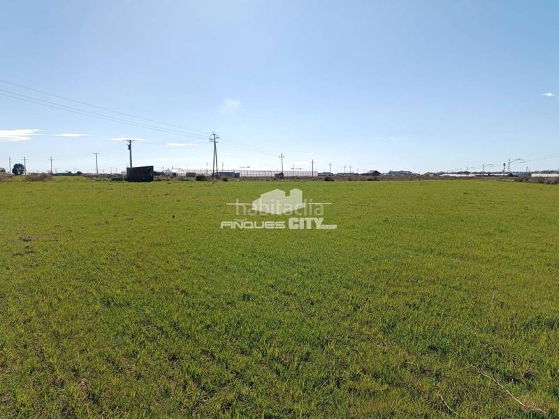 Foto 6586c4d3-1db3-42b0-a7ab-1faca2d9127f. Rural plot in Malgrat de Mar