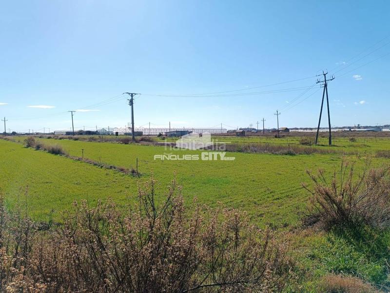 Foto 923b66f9-d119-464a-8418-92f567c1d5d1. Rural plot in Malgrat de Mar