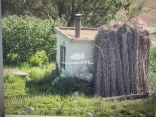 Finca rústica a Orsevinya 1. Venta de finca rústica en calella