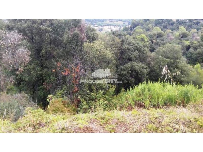 Foto 31065cf4-a9ab-4911-9fe2-7440fcd2d549. Terreno residenziale in Palafolls