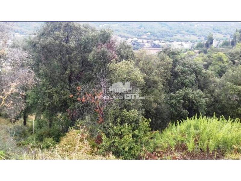 Foto d60dcc67-7047-4023-af10-2eb2fcb40a10. Terreno residenziale in Palafolls