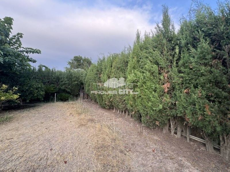 Foto 80bf90c9-4cf0-4050-a3c0-2ac455e31acd. Finca rústica a Malgrat de Mar