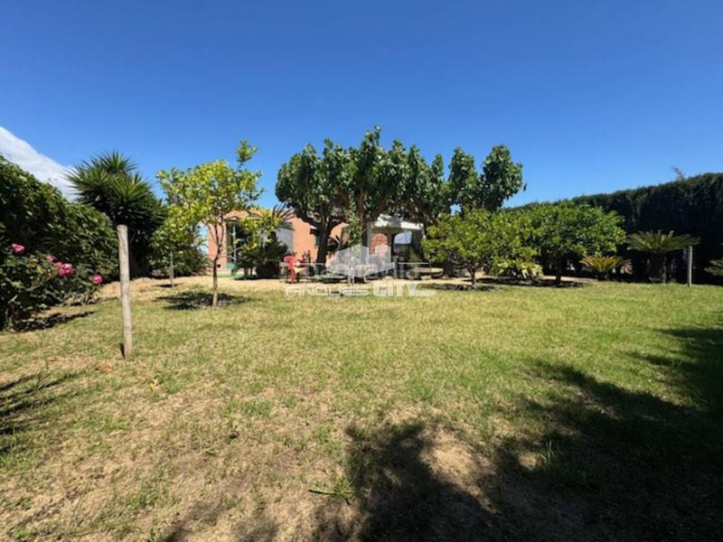 Foto b646eba2-2f6a-4483-bdb0-3fb92e3d519e. Finca rústica en Malgrat de Mar 1 venta finca rústica en Malgrat de Mar