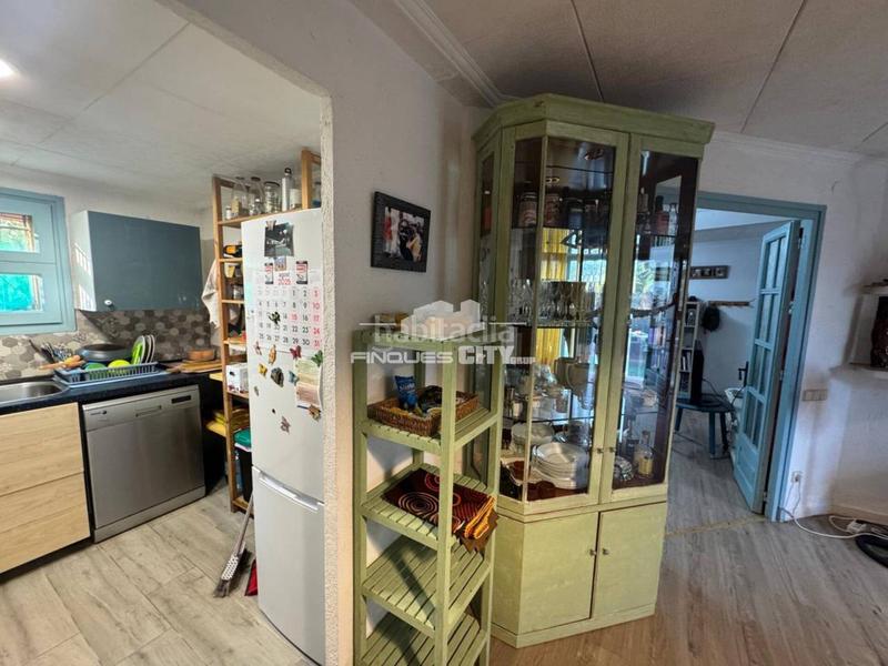 Foto dafcfd5a-17a8-418e-9084-372259e3b592. Finca rústica en Malgrat de Mar 1 venta finca rústica en Malgrat de Mar