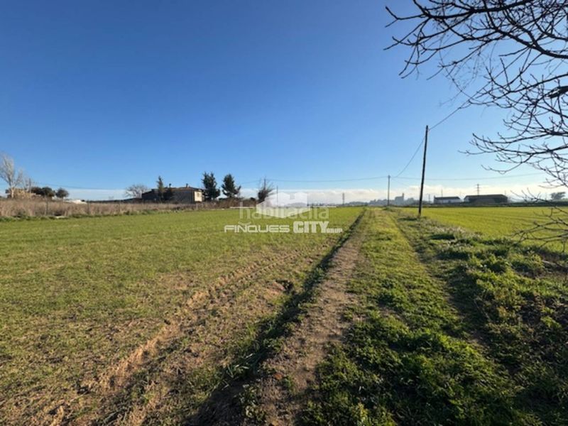 Foto 43a8cc56-1bf8-4d84-91eb-0e9b11bc8615. Finca rústica a via cassa de la selva 4 a Llagostera