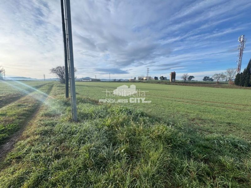 Foto dfcb6a6e-00ee-44e8-946a-12e9af7740cc. Finca rústica a via cassa de la selva 4 a Llagostera
