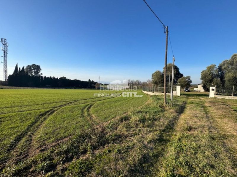 Foto ff763bdb-2e8b-49a2-8302-613541e12d7f. Finca rústica a via cassa de la selva 4 a Llagostera