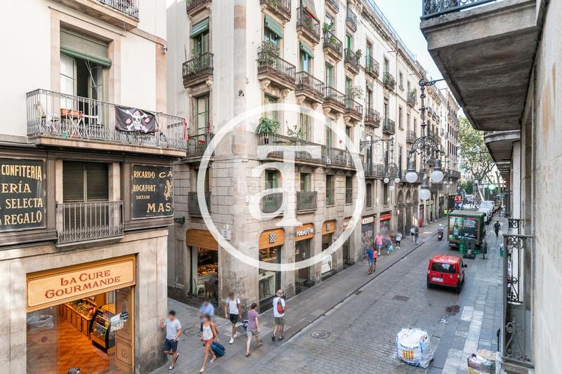 Foto 0298dd44-b662-41f4-bc3b-85d3f4686ff5. Affitto appartamento in carrer d'en quintana 11 in Barcelona