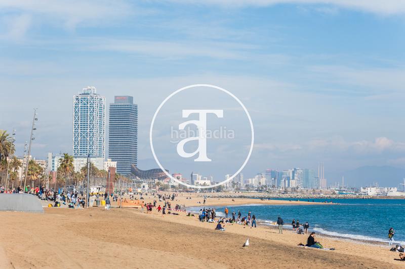 Foto 0aa0dcf2-ba49-4be9-ac31-566ab7ceef12. Lloguer pis amb calefacció a Barceloneta Barcelona