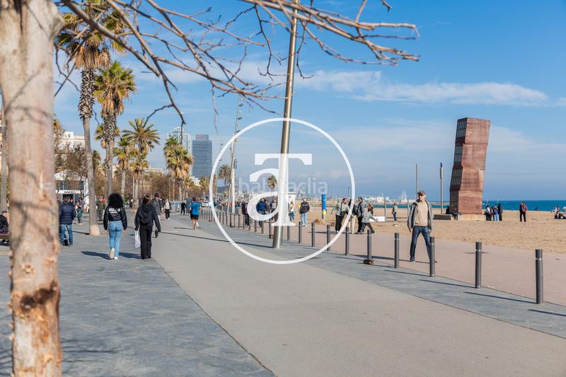 Foto a8f70145-5296-45a9-ada1-e91560555daa. Lloguer pis amb calefacció a Barceloneta Barcelona