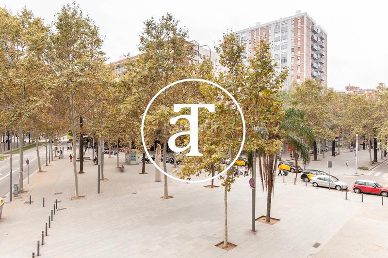 Foto 17352408-0e6c-4d47-a86a-b7bfe66ffb88. Affitto appartamento con riscaldamento in Provençals del Poblenou Barcelona