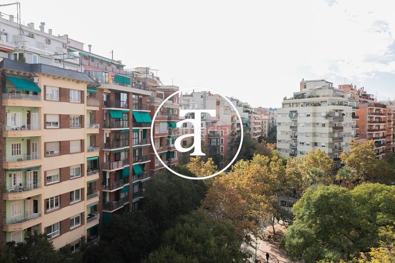 Foto c8ee8565-0c41-4d73-9715-7ec1ca94d65b. Lloguer pis a avinguda de mistral 6 a Sant Antoni Barcelona