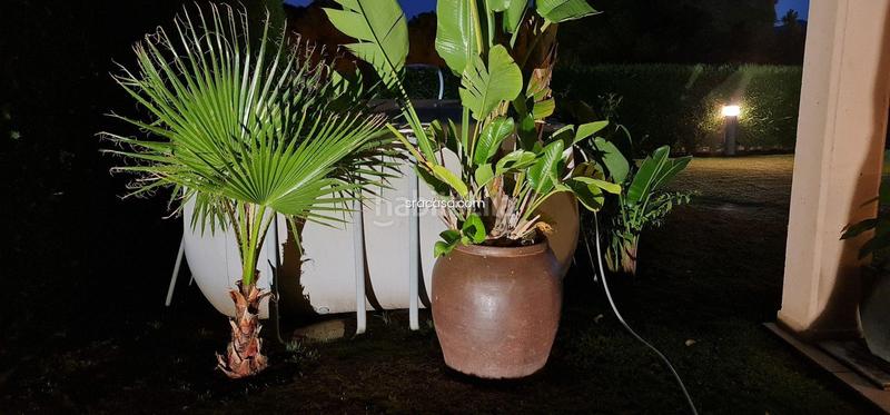 Foto 5d7a8cf1-60ad-4e57-a088-bf56b951006c. Lloguer xalet amb calefacció aparcament a Santa Cristina Poble Santa Cristina d´Aro