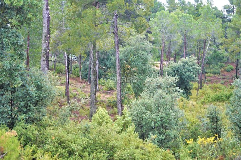 Foto 17a3d703-15fa-44aa-89c5-f4e45b5e3fb0. Finca rústica a calleja hontanar 78 a Utiel