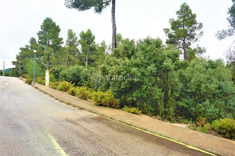 Foto 2f4c1ac2-9cad-4c2e-8d2e-c466a2f51fd4. Finca rústica a calleja hontanar 78 a Utiel