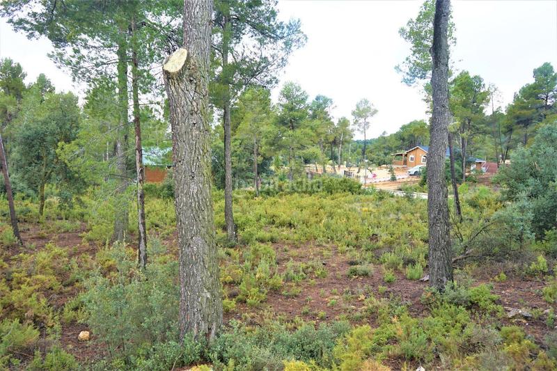 Foto 3a743708-9325-4354-9120-b341abced15d. Finca rústica a calleja hontanar 78 a Utiel