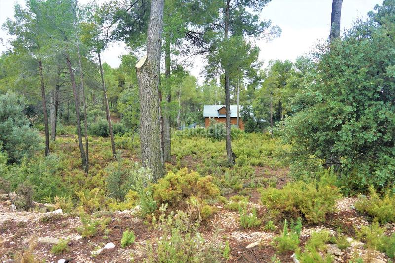 Foto 7894ad33-7f7a-4b7d-b4b3-d1af55686696. Finca rústica a calleja hontanar 78 a Utiel