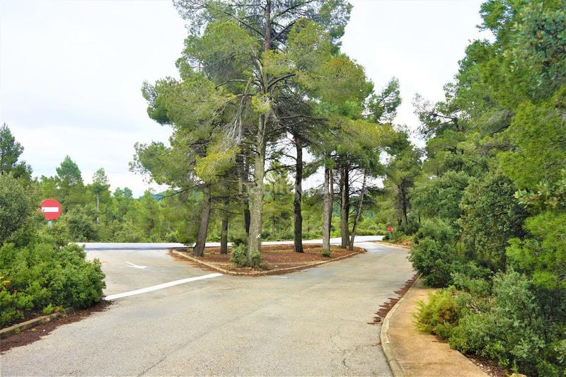 Foto 8101206b-aaee-4390-8d97-0b2643431bad. Finca rústica a calleja hontanar 78 a Utiel