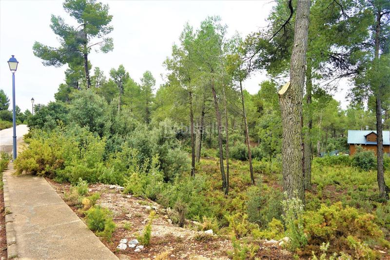 Foto acba577e-e2a0-474b-b0e1-93da3c88cfff. Finca rústica a calleja hontanar 78 a Utiel