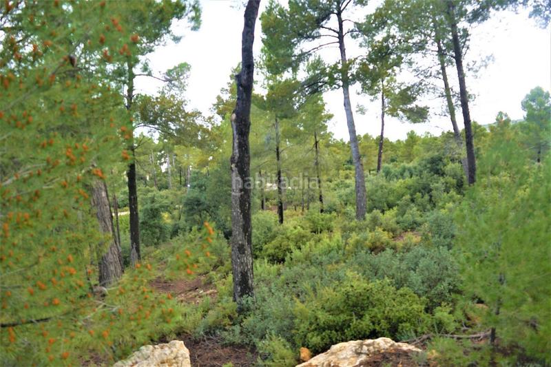 Foto c56563f0-531d-4c0b-b23e-91538bcd66b3. Finca rústica a calleja hontanar 78 a Utiel