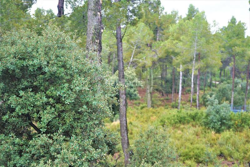 Foto 62a5df53-2b14-42d8-ae21-9b66b1eea536. Finca rústica en calleja hontanar 78 en Utiel