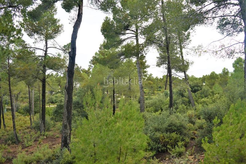 Foto 75e79cbd-4d97-4ff2-b33e-9be5fd2f0031. Finca rústica en calleja hontanar 78 en Utiel