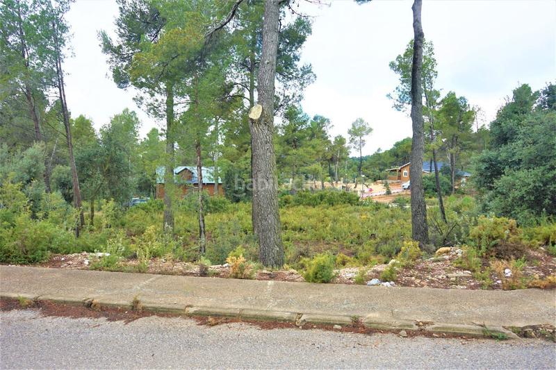 Foto 7d308541-45c7-4dd1-a7f8-b7c7cf31260d. Finca rústica en calleja hontanar 78 en Utiel