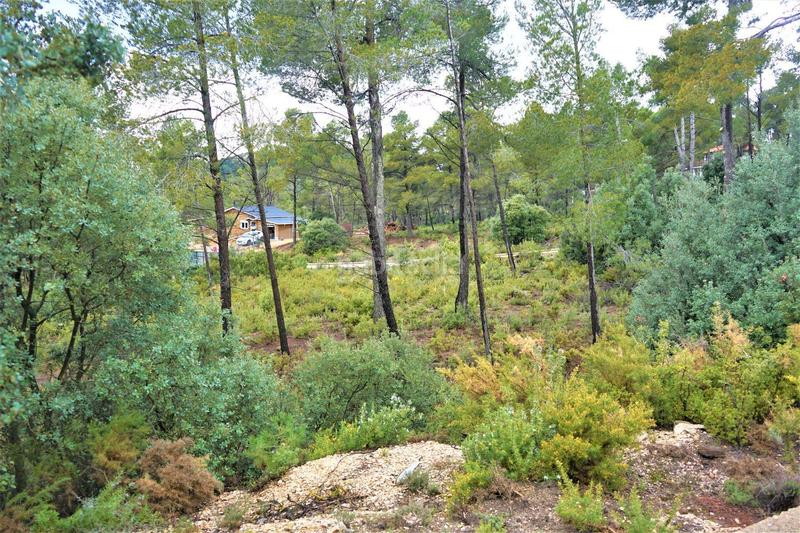 Foto 8028c3a1-317e-4e9a-8e08-09809f848ce9. Finca rústica en calleja hontanar 78 en Utiel