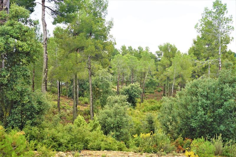 Foto 8d8b4eaf-d7e8-469c-9aeb-acfad67dcf41. Finca rústica en calleja hontanar 78 en Utiel