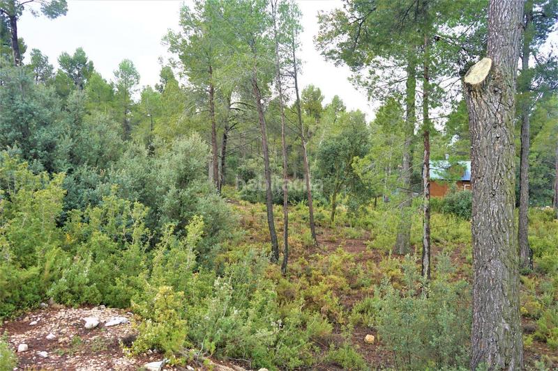 Foto 8d8b75e3-b474-4dfa-b699-6c94810d74e4. Finca rústica en calleja hontanar 78 en Utiel